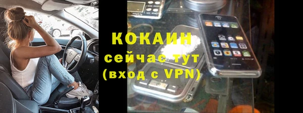 мдпв Ладушкин