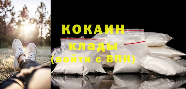 мдпв Ладушкин