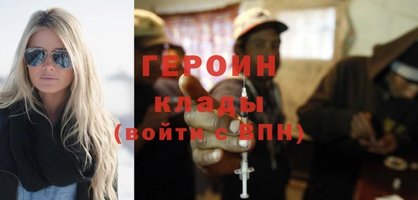мдпв Ладушкин