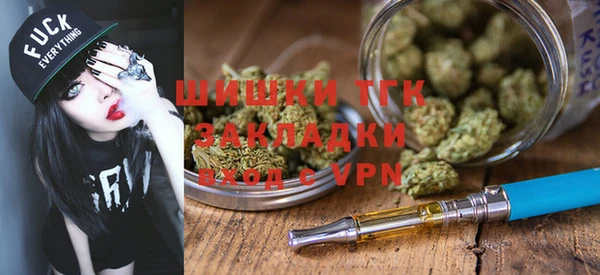 мдпв Ладушкин