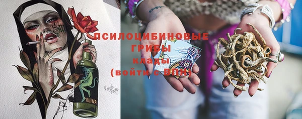 мдпв Ладушкин