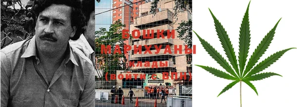 мдпв Ладушкин