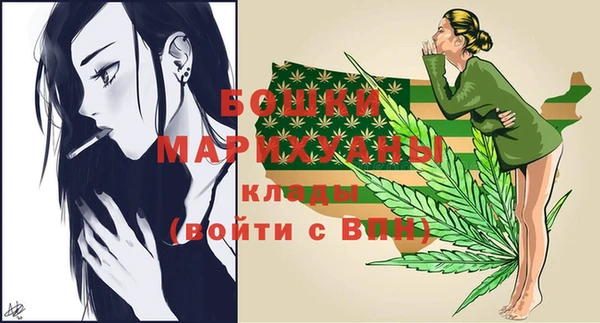 мдпв Ладушкин