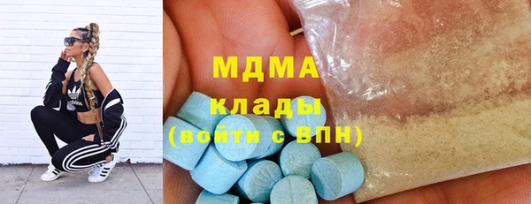 мдпв Ладушкин