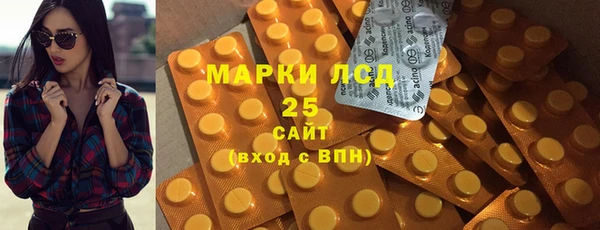 мдпв Ладушкин